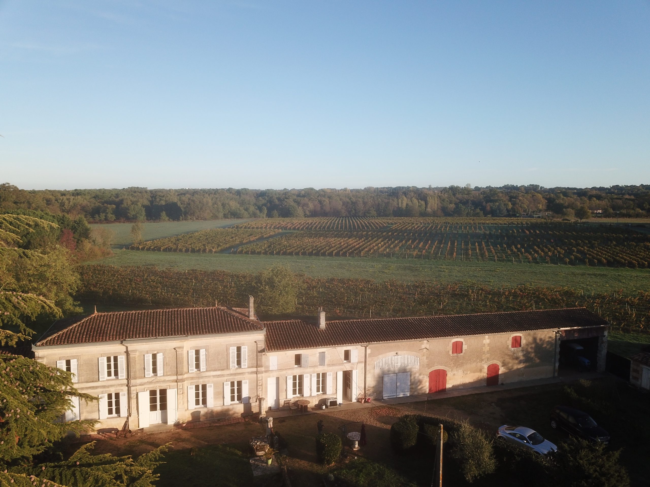 Château Lapourcaud — Cézac, Gironde — vignoble Blaye Côtes de Bordeaux
