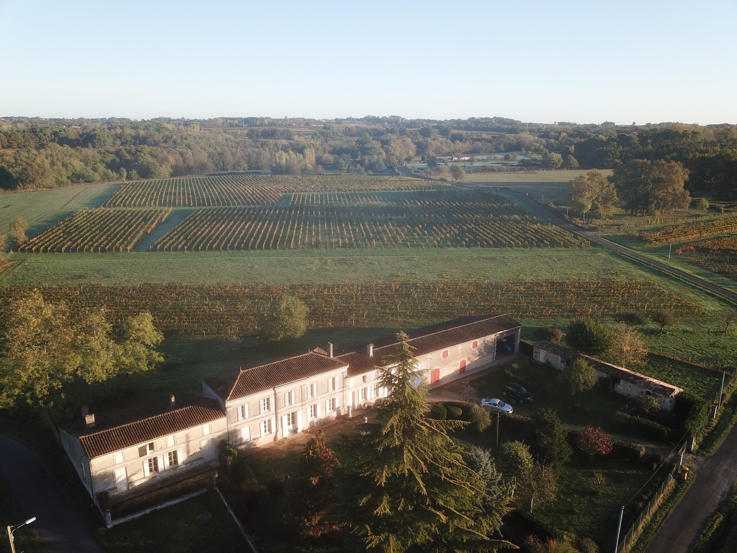 Château Lapourcaud vu du ciel — vignoble Cézac Gironde